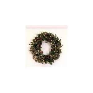  30 Pre Lit Frosted Edina Fir Artificial Christmas Wreath 