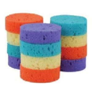  Rainbow Tack Sponges   12 Pack