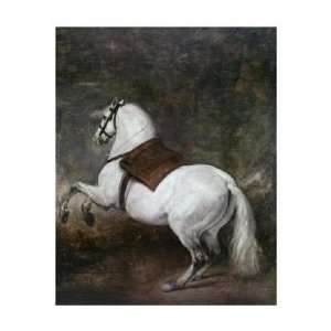 Diego Velazquez   A White Horse Giclee 