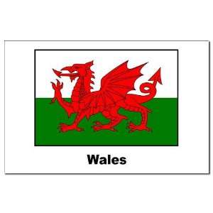  Wales Welsh Flag Flag Mini Poster Print by  