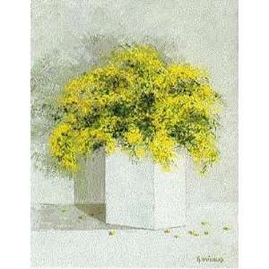  White Vase with Mimosa    Print