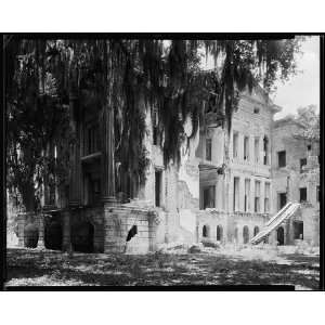   ,rear,White Castle vic.,Iberville Parish,Louisiana