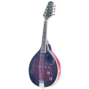    Johnson Electric Mandolin A Style mando Musical Instruments