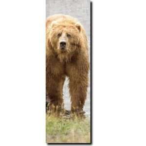  Grizzly Bear by Water Wood Panel Wall Hanging