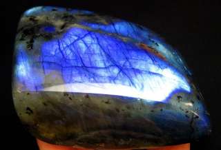Extreme Blue Iridescent Labradorite laf65ie313  