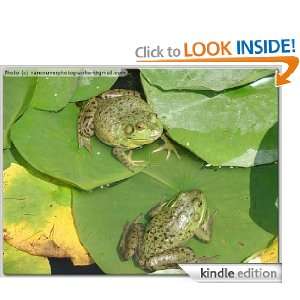 Lady Frog and Ben Steve Lemco, Captain Kid O  Kindle 