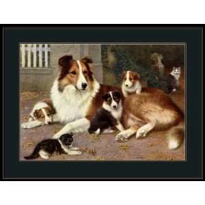   Print Collie Shepherd Lassie Dog and Puppies Art 