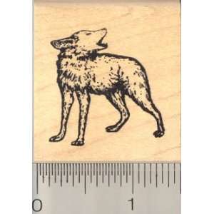 Small Coyote Howling Rubber Stamp Arts, Crafts & Sewing