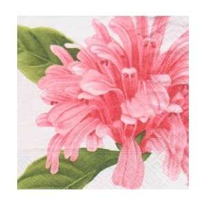  Oasis Flower Lunch Napkins Toys & Games