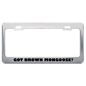  Got Brown Mongoose? Animals Pets Metal License Plate Frame 
