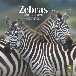  Zebras 2010 Wall Calendar