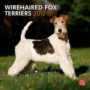  2012 Wire Fox Terriers Calendar