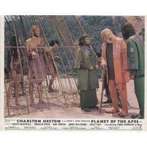 Planet Of The Apes   Charlton Heston   Movie Poster Lobby Still   8 x 