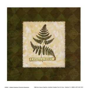  Leather Fern   Poster by Walter Robertson (6x6)