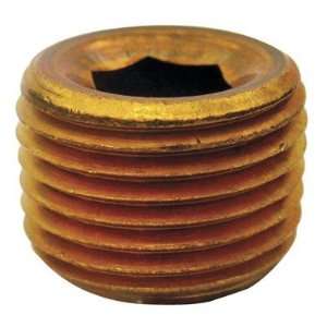  10 each Anderson Pipe Counter Sunk Plug (AB109CS C)