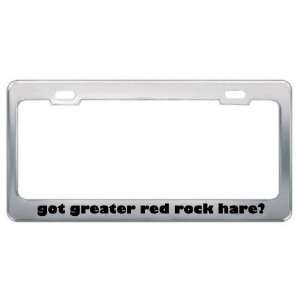   Red Rock Hare? Animals Pets Metal License Plate Frame Holder Border