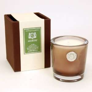  Alpine Meadow Large Candle by Aquiesse