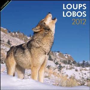    Wolves (French/Spanish) 2012 Wall Calendar