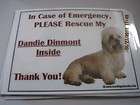 Dandie Dinmont Terrier  