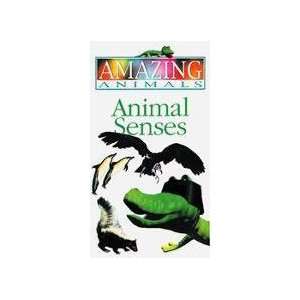  Henrys Amazing Animals   Animal Senses   VHS Toys 