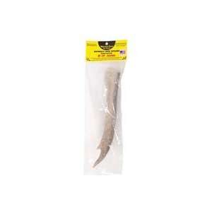  PACKAGED JUMBO NATURALLY SHED ANTLER, Size 9 11 INCH 