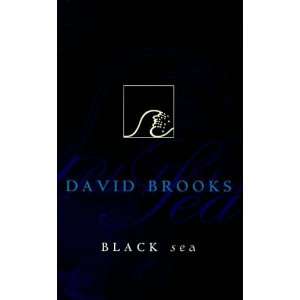   Black sea (Allen & Unwin fiction) (9781864485271) David Brooks Books