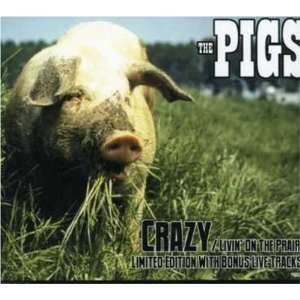  Crazy Pigs Music