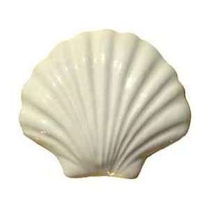  Scallop Shell Applique 