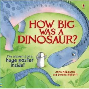  How Big Was a Dinosaur (Picture Storybooks) (9781409506775 