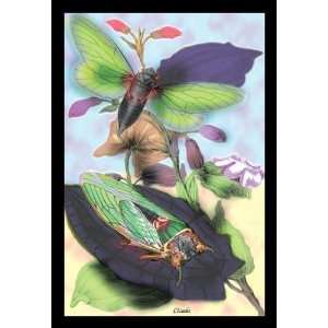 Exclusive By Buyenlarge Cicada 20x30 poster 