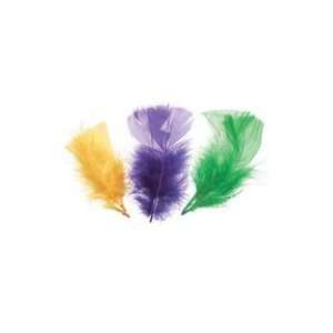    All Purpose Assorted Craft Feathers   Mardi Gras 14g Toys & Games