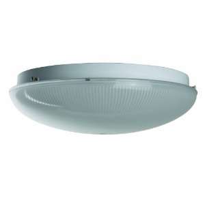 Sunlite AM32SFR 12 Inch Fluorescent Circline Ceiling Fixture, White 