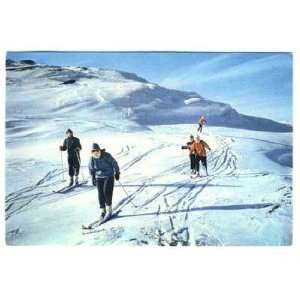  Skiing Near Carrbridge Scotland Postcard 