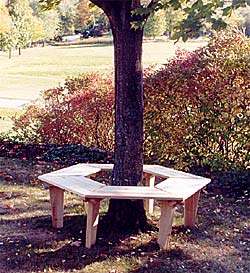 Large Cedar Adirondack Tree Bench  