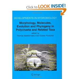 Morphology, Molecules, Evolution and Phylogeny in Polychaeta and 