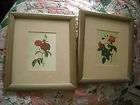 SALE LOT shabby n chic pink cabbage rose picture wall decoration ins 