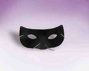 Black Cat Eye Black Half Mask Cat Zoo Animal Costume  