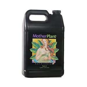  Mother Plant   Part A (GA)