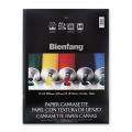 Bienfang 16 inch x 20 inch Canvasette Paper Canvas Pad 