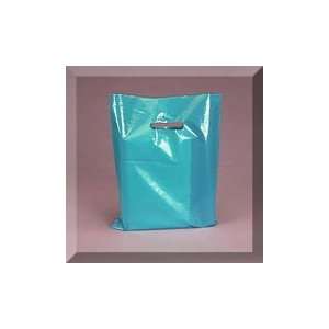  1000ea   12 X 15 Teal Premium Plastic Merchandise Bag 