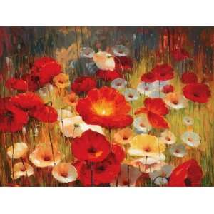  Lucas Santini 48W by 36H  Meadow Poppies I CANVAS Edge 