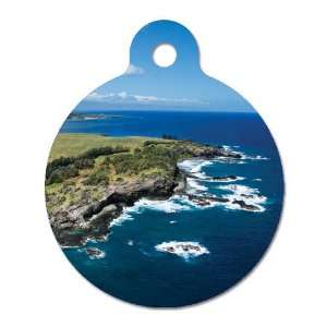  Paradise Found   Pet ID Tag, 2 Sided Full Color, 4 Lines 