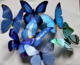 Colors Blue Butterfly Wedding Favor /Home Decoration  