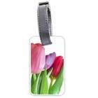 Carsons Collectibles Luggage Tag (Two Sides) of Beautiful Tulips 