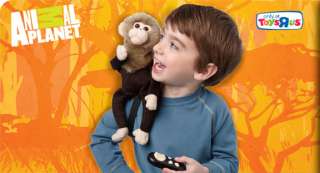 Animal Planet Toys, Animal Games, Remote Control Toys, Dinosaur Toys 