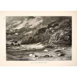  1875 Wood Engraving Wind Storm Birds Ucayali River 