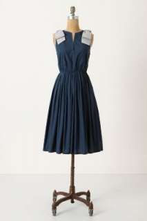 Anthropologie   Besotted Dress  