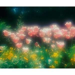  Monet Spring, Giverny Wall Mural