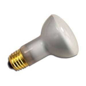  30 Watt R20 Incandescent Flood Light Bulb / 20,000 Hour 