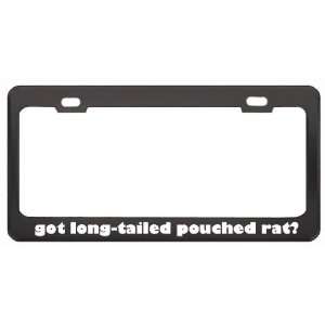 Got Long Tailed Pouched Rat? Animals Pets Black Metal License Plate 